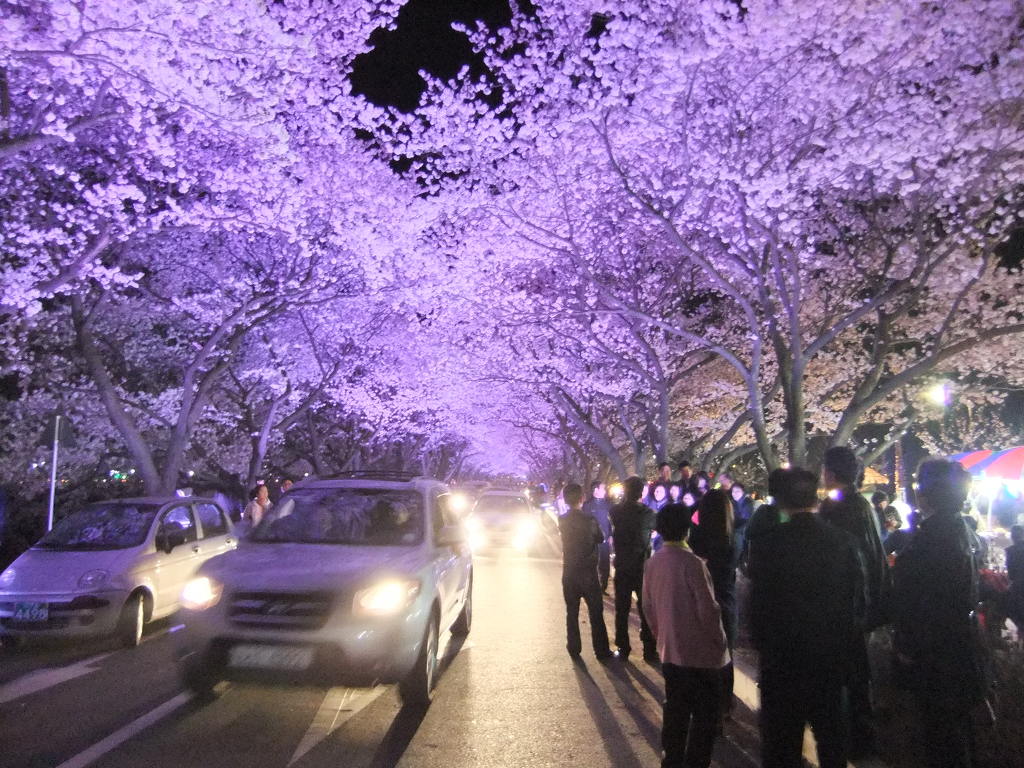 밤장군 이미지