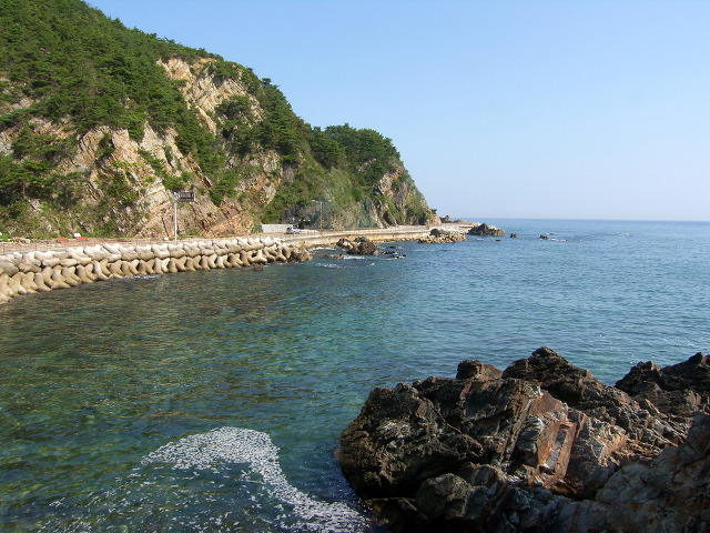 정동진민박 이미지