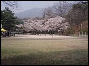대진여행사 이미지