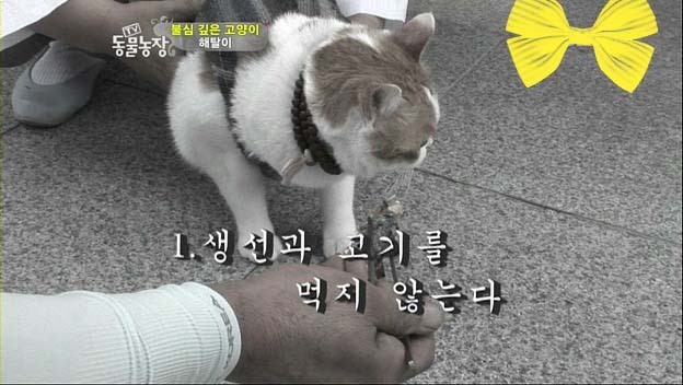 상귀농장 이미지