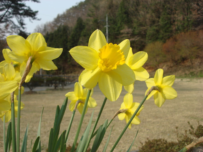 도취 이미지
