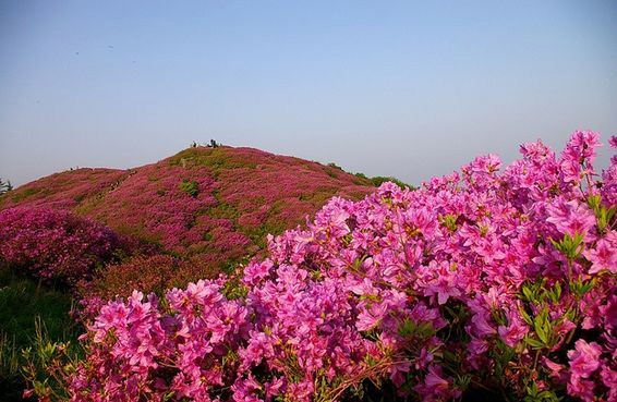 동천주유소 이미지