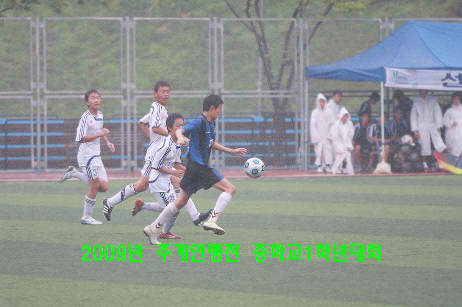 백양중학교 이미지