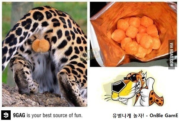 치토스의 진실.jpg | 인스티즈