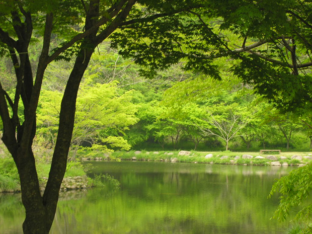 서리빛 이미지