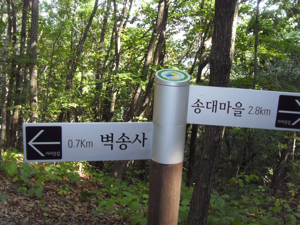 삼정사 이미지