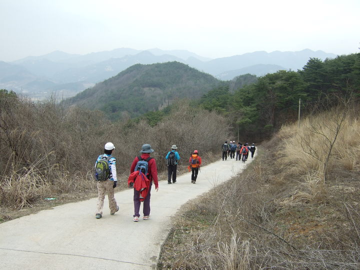 홍인금수산 이미지