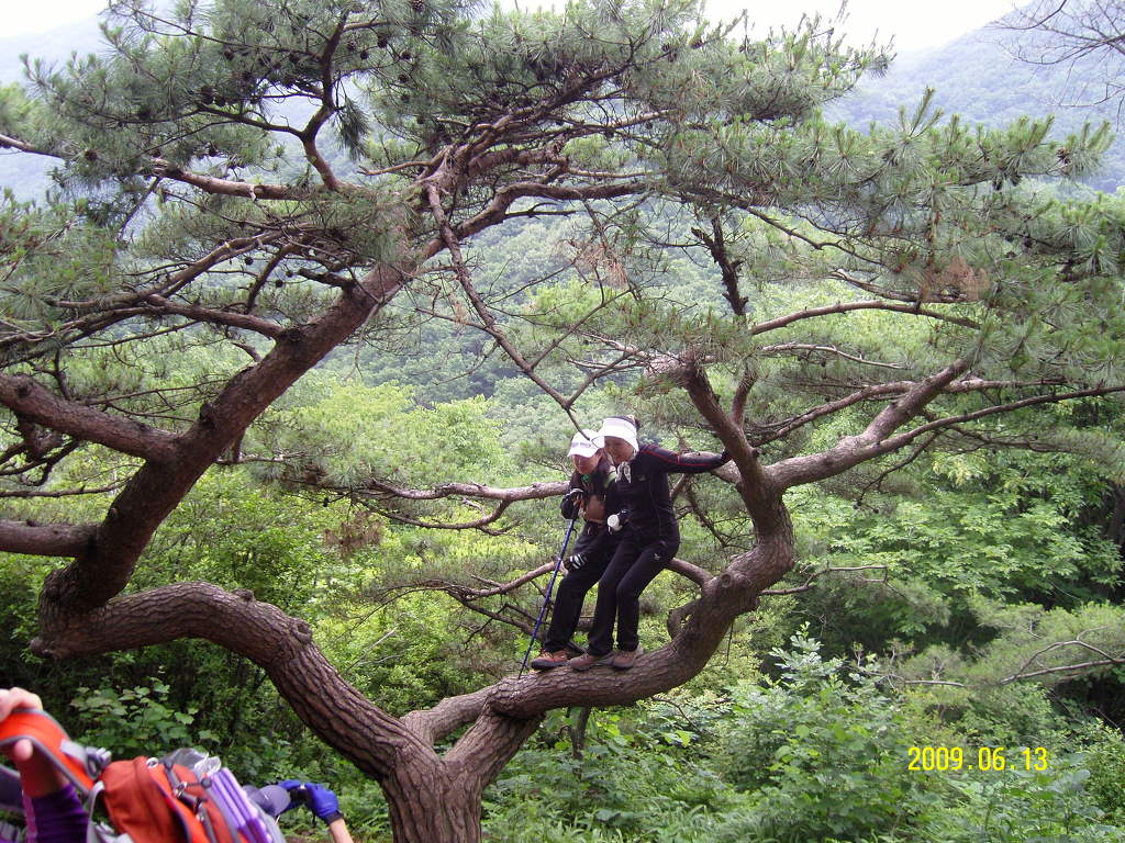 백두축산 이미지