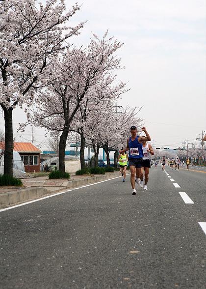예산꽃 이미지