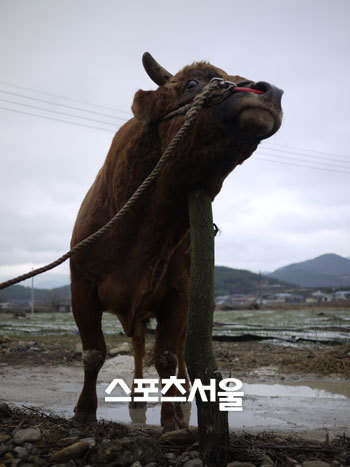 모임헤어 이미지