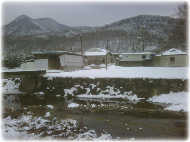용규네 이미지
