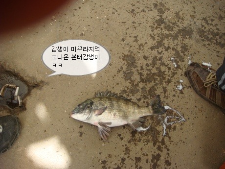 사계절낚시 이미지