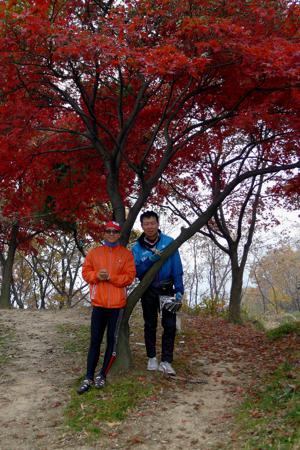 그때그때달라요 이미지