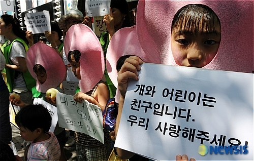 둥글이 이미지