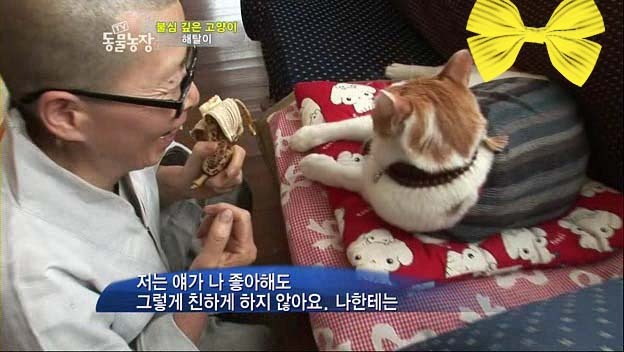상귀농장 이미지