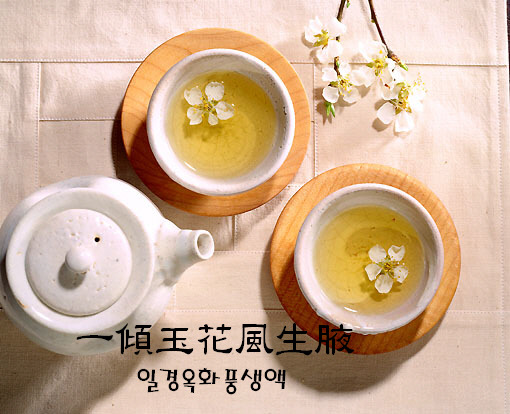 동다송 이미지