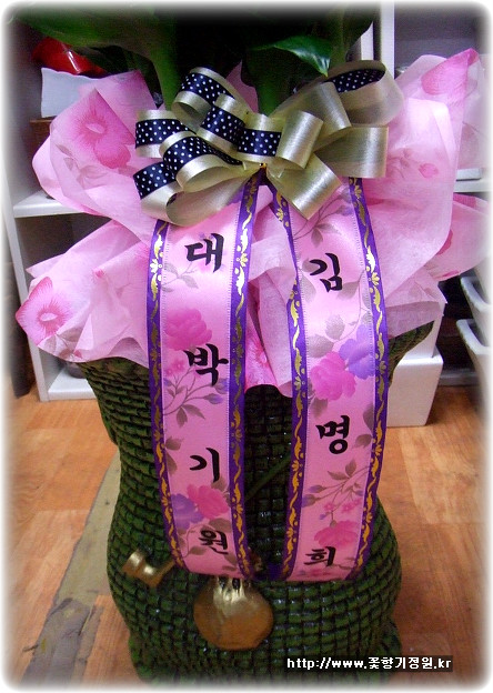 황금진족 이미지