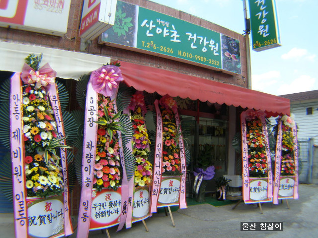 산야초건강원 이미지