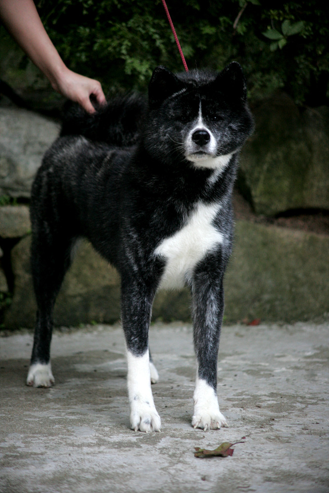 모리 이미지