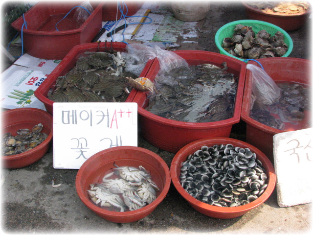플러스_에이 이미지