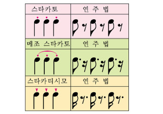 테누토 이미지