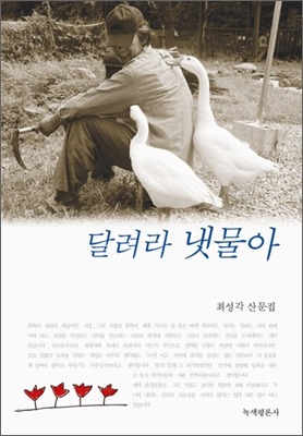 냇물 이미지