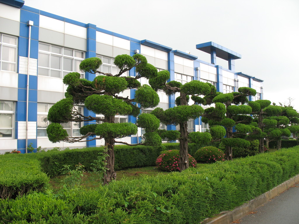 덕산중학교 이미지