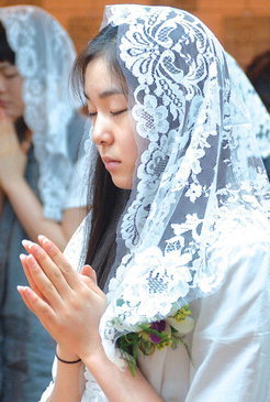 8스텔라 이미지