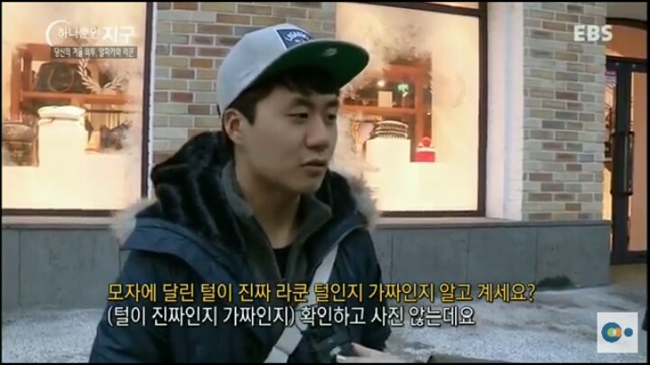 당신이 입고있는 따뜻한 겨울외투의 진실 (동물피 주의) | 인스티즈