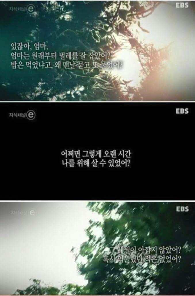 엄마의 시간 | 인스티즈