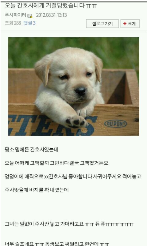 간호사에게 고백하는 방법.JPG | 인스티즈
