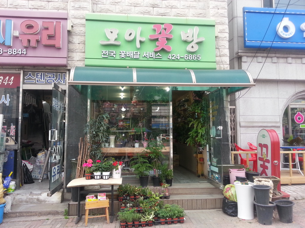 동문꽃방 이미지