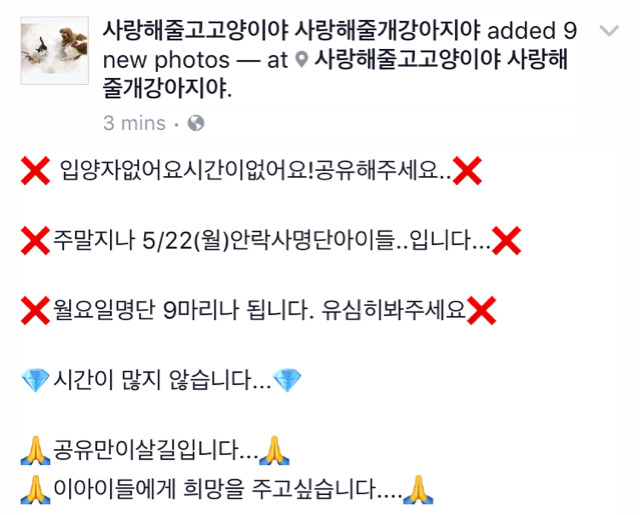 이틀 뒤인 22일 안락사 명단이야.. 너무 이쁜아가들 밖에 없어.. 한번만 도와주라.. | 인스티즈