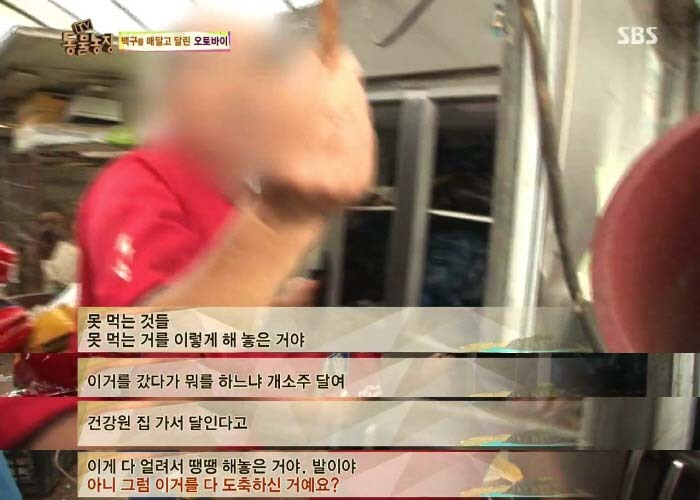[TV동물농장] 동물농장에서 방송된 인천의 한 개 도축장의 현실.jpg | 인스티즈