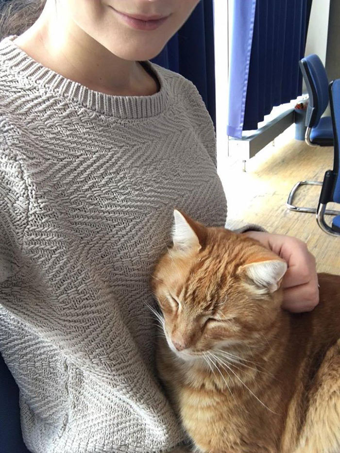 독일의 어느 캠퍼스 고양이.jpg | 인스티즈