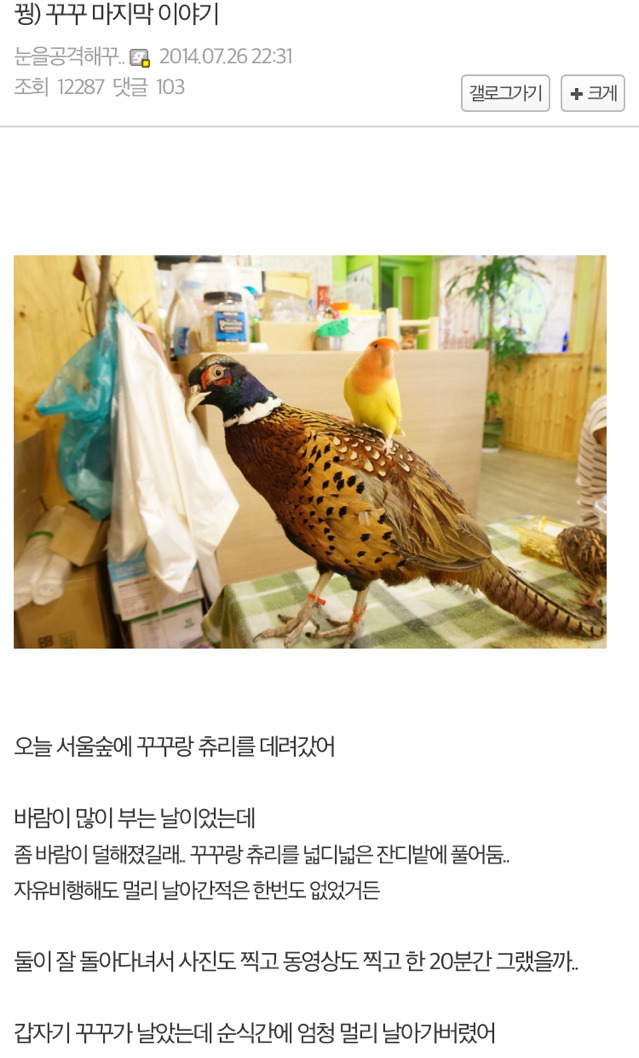 수렵시대 대한민국 | 인스티즈