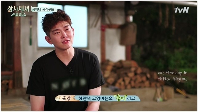 심쿵주의 삼시세끼 윤균상 반려묘 쿵이와몽이 심쿵주의 | 인스티즈