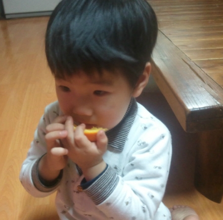 늘푸른청과 이미지