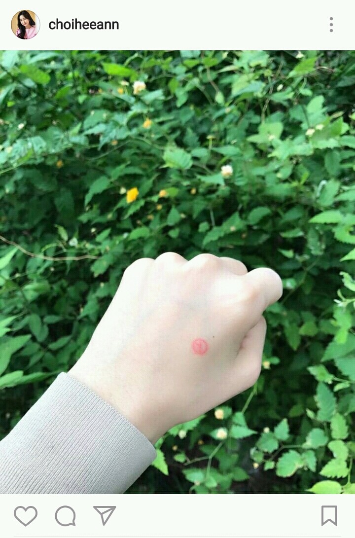 최희 아나운서 투표인증샷 | 인스티즈