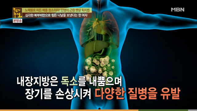 침묵의 암살자 뱃속의 시한폭탄 내장지방의 위험성 | 인스티즈