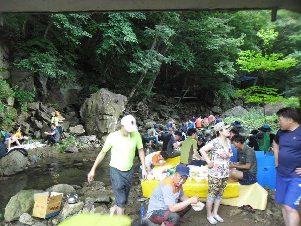 지리산산삼산야초 이미지