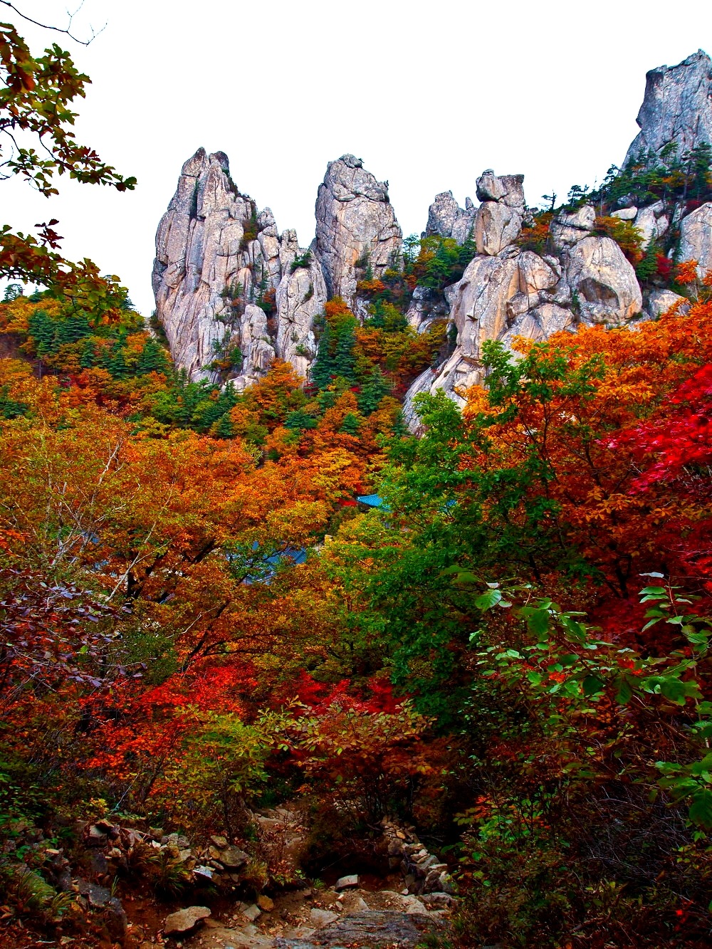 (유)한마음고속관광 이미지