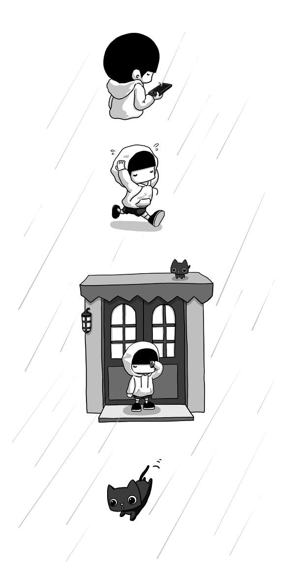 길고양이에게 잘해주자 | 인스티즈