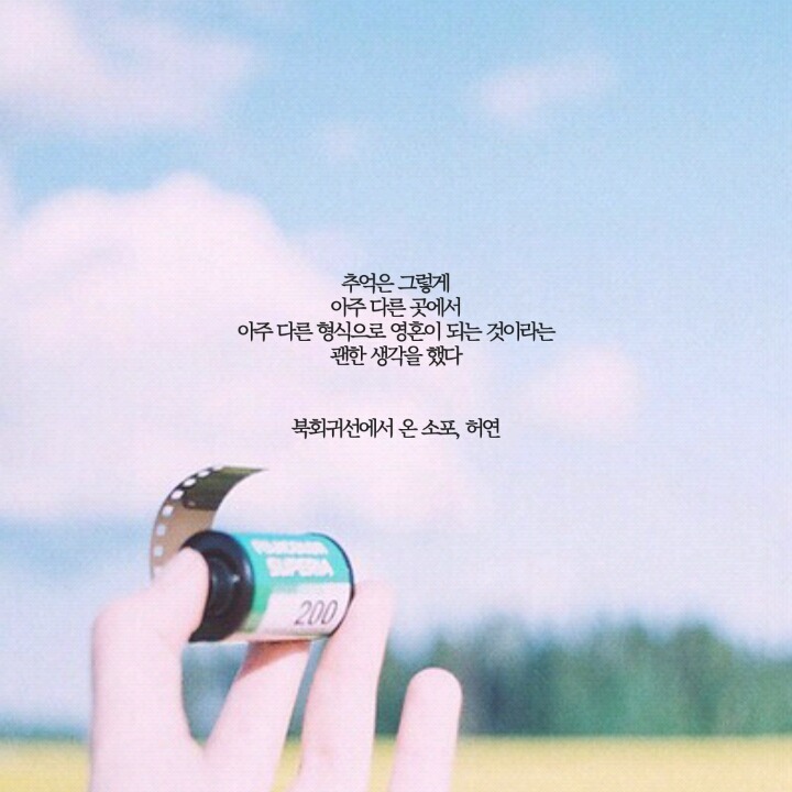  네 안에서 부는 바람에 너는 너무 오래 흔들린다 | 인스티즈