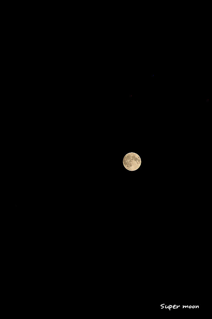 moon 이미지
