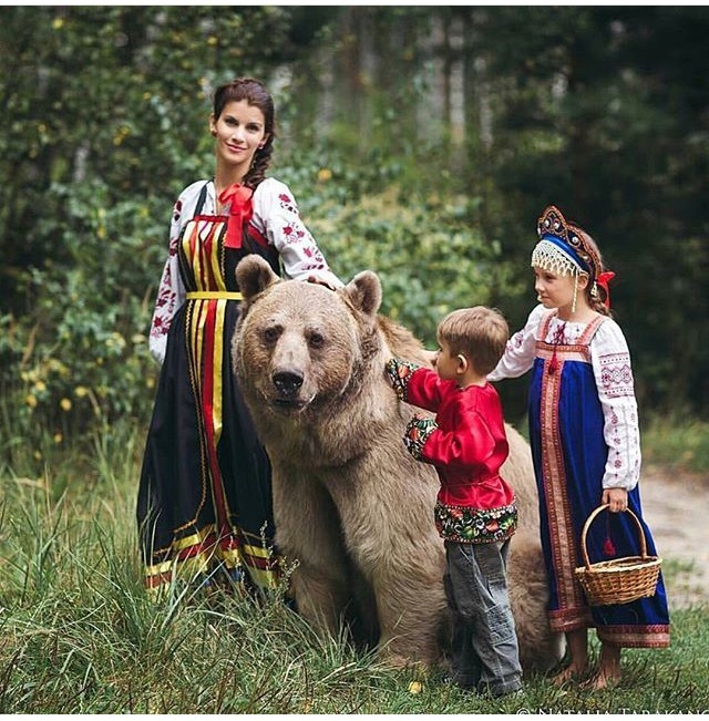 같이 사는 곰 | 인스티즈