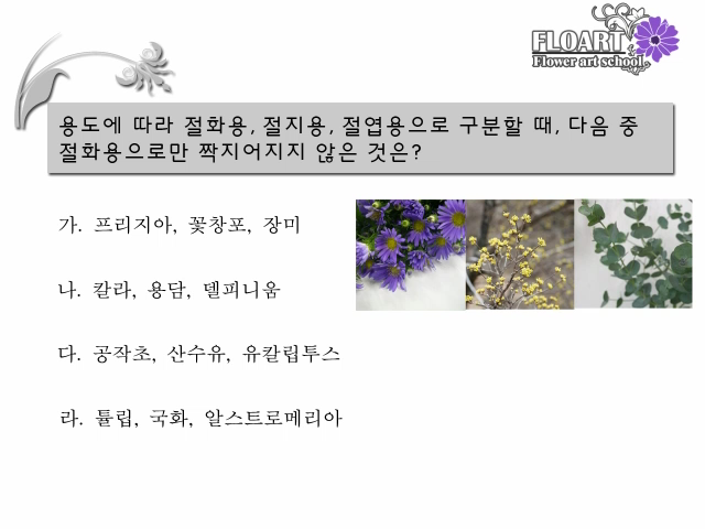 플로아트 이미지