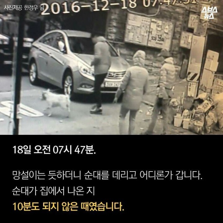 제 강아지가 잡아먹혔습니다 | 인스티즈