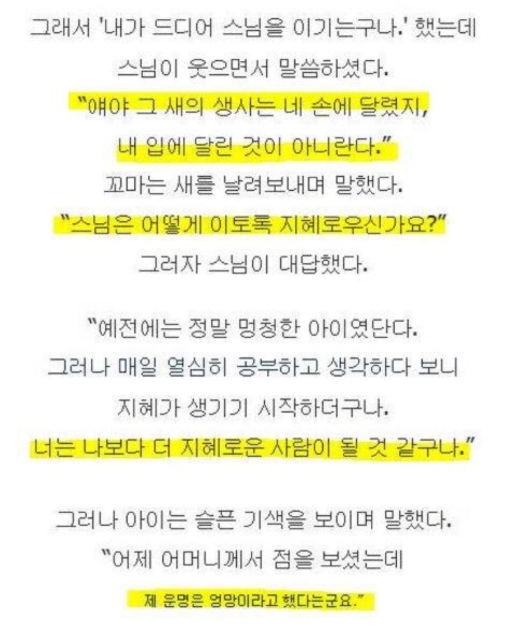 어느 스님의 우문현답.txt | 인스티즈