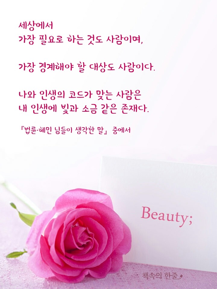 빛과소금 이미지